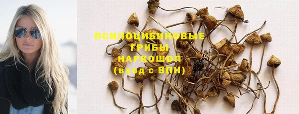 прущий лед Алексеевка