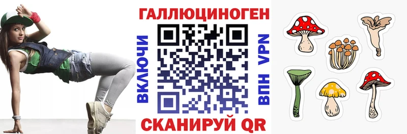Галлюциногенные грибы Psilocybe  Щигры 